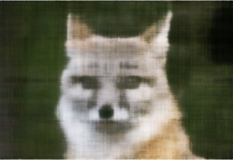 Original cameraman image