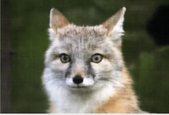 Original cameraman image