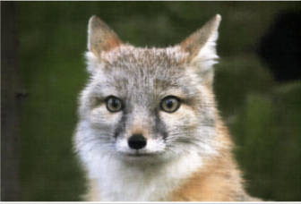 Original cameraman image